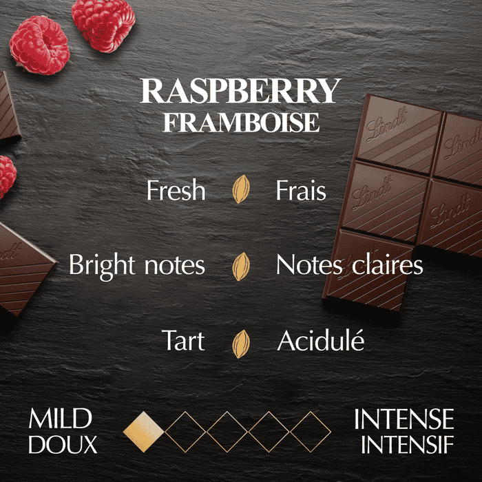 Lindt EXCELLENCE Raspberry Dark Chocolate Bar, 100g