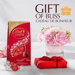 Lindt LINDOR Milk Chocolate Truffles Bag, 240g
